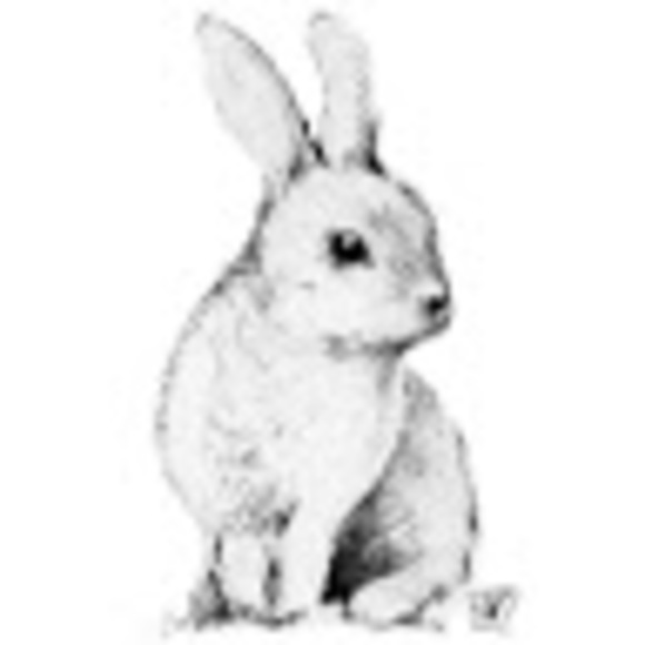 Meet your Posher, Christina - Picture 1 of 1